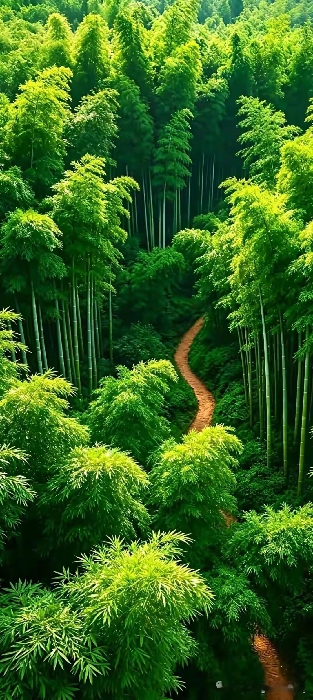 发一张你相册最绿的图片