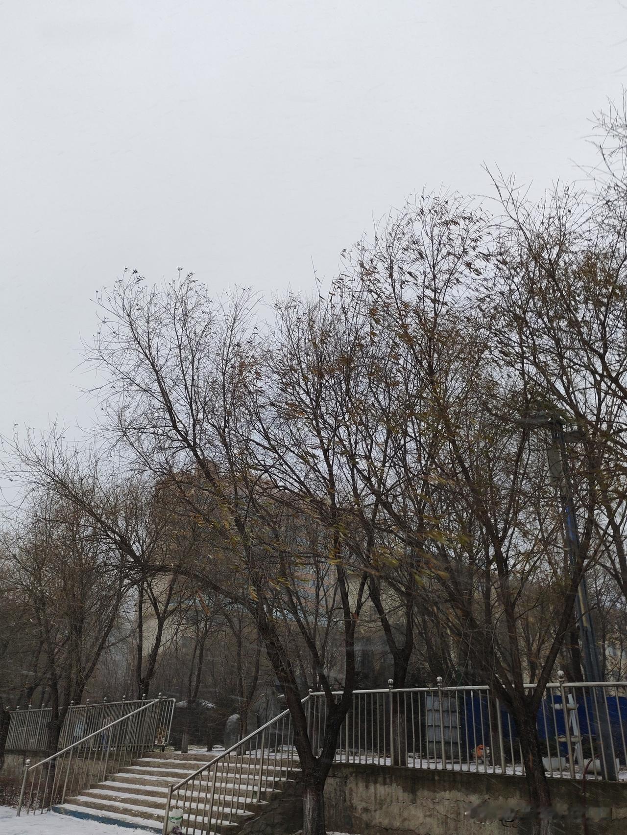 天气预报我感觉都不是很准的，可能是因为我在小地方，偏僻的原因。有一天报雨，结果一