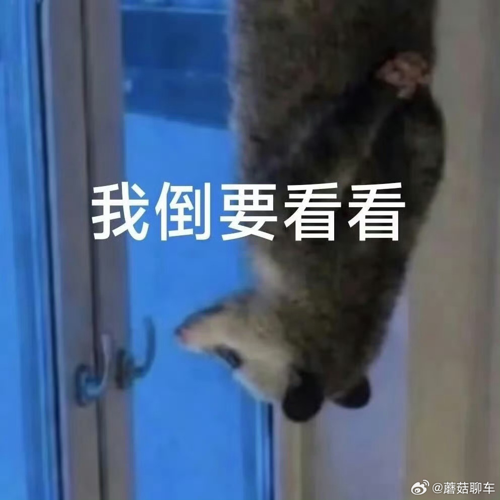 兄弟们，C罗做了追觅的全球代言，所以……我是不是有机会亲眼看到字母罗了？我靠我想
