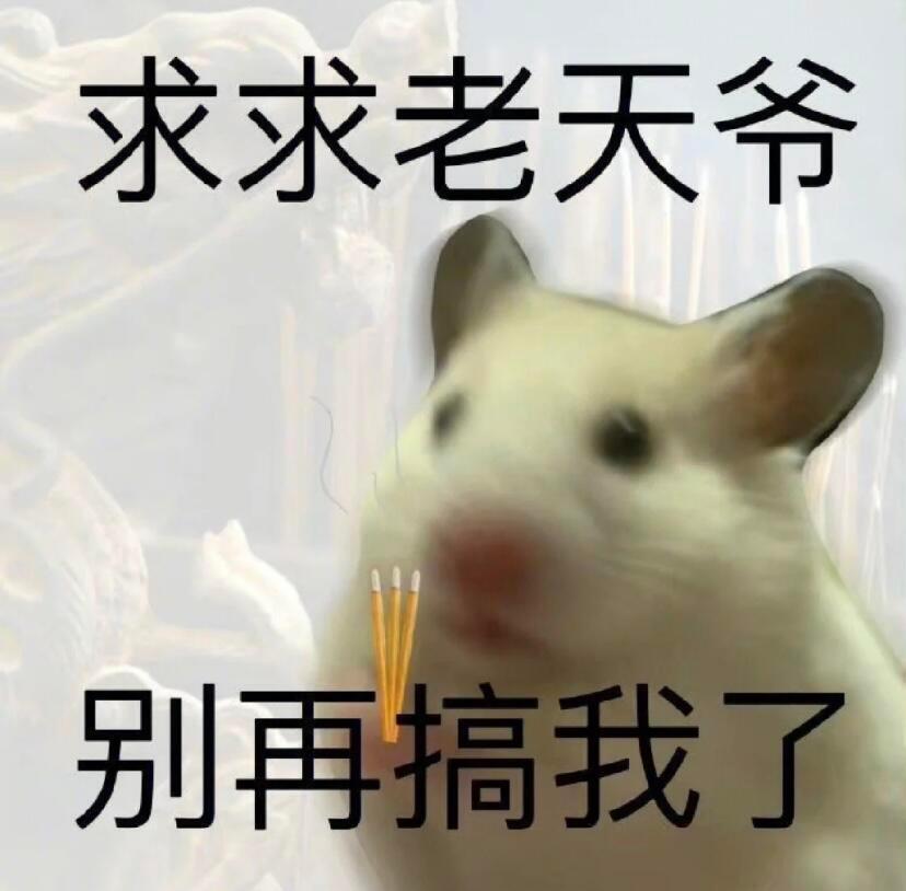 又到了存表情包的快乐时刻了 