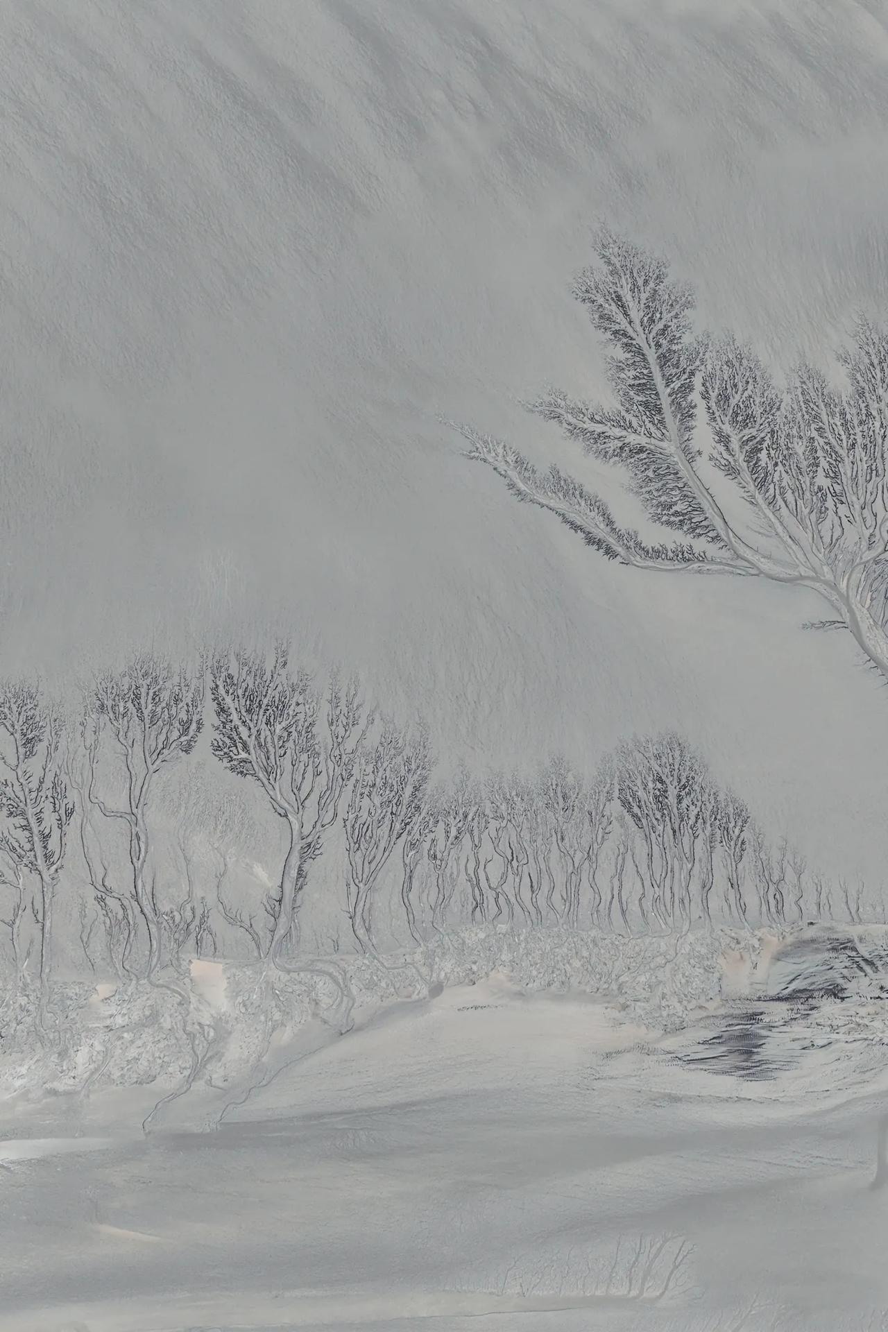 来自海宁钱塘江的“潮汐树”，大自然真的是鬼斧神工！