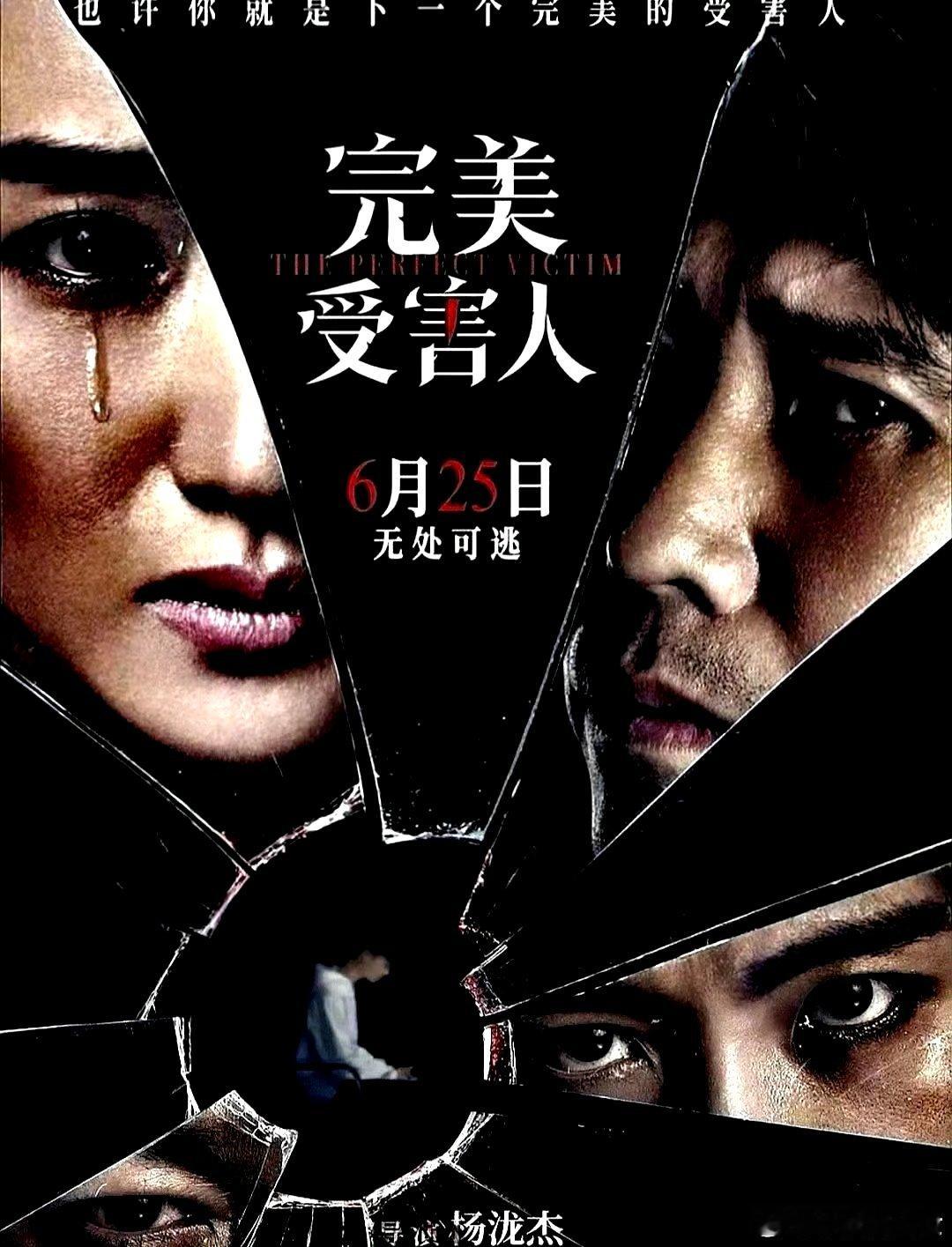 电影海报：李乃文，冯文娟，张峻宁，谭凯，姬他，赵子琪主演《完美受害人》。杨泷杰导