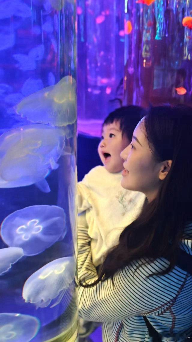 抓拍难度升级 