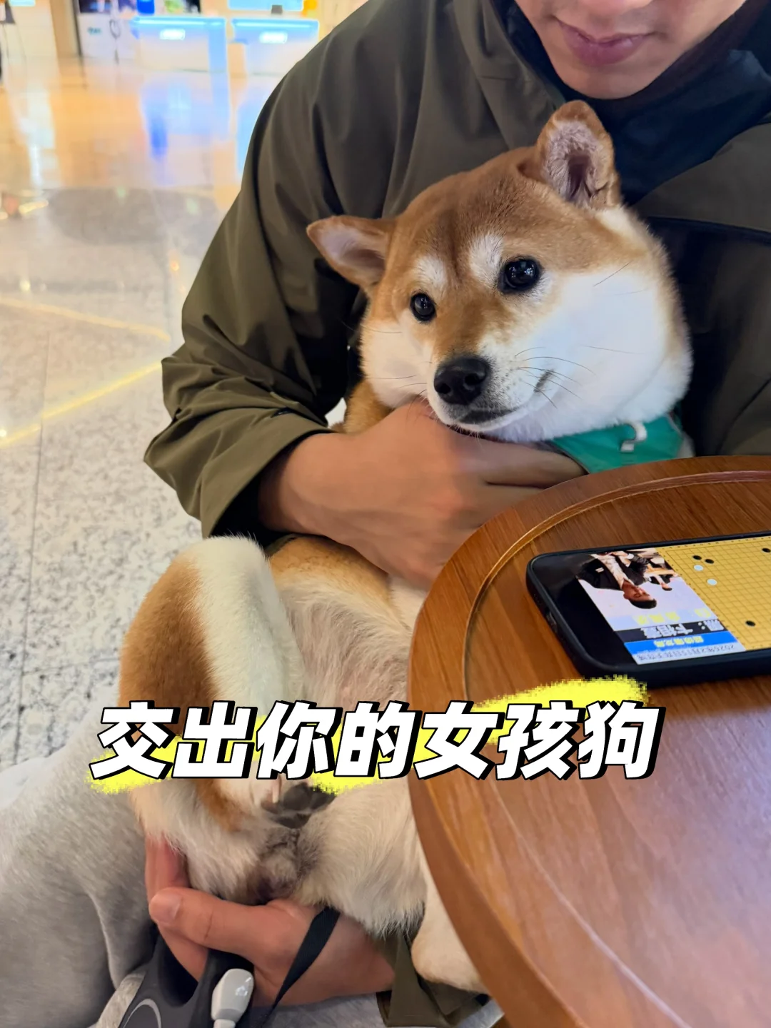 交出你的女孩狗的照片