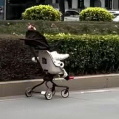 “心太大了！”莆田街头一位老人推着婴儿车带娃出门，过马路时为摘绿化带的花，竟把婴