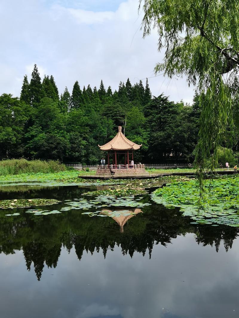 平生无此快也四时皆似夏 

夏来春去，花谢花开，静守一片天空，安度一季花期。邂逅
