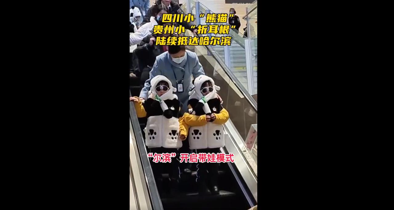 今年的研学目的地，是统一定在哈尔滨了吗？在四川小“熊猫”、贵州小“折耳根” 陆续