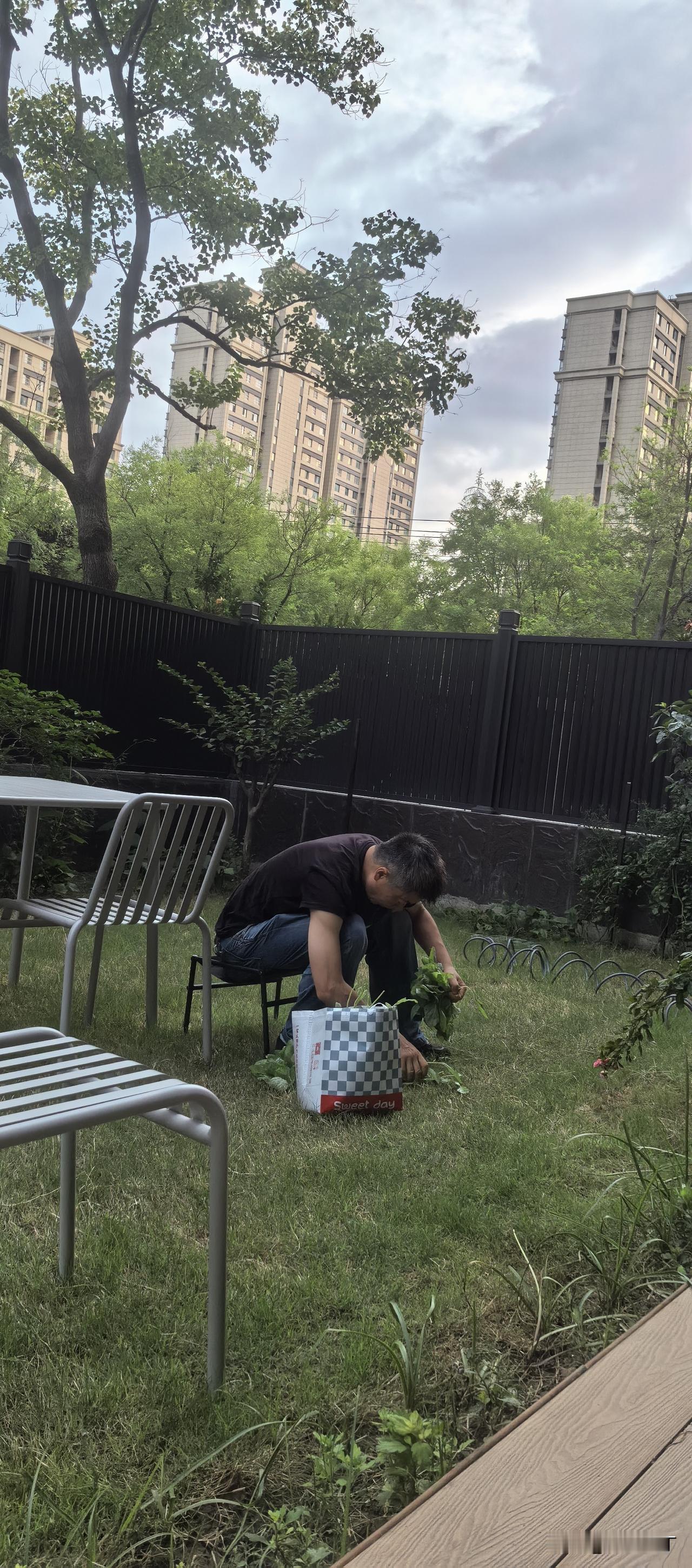 我在屋檐下做康复训练，孩子他爹蹲在院子里择菜。乍一看岁月静好，实则暗流涌动。
