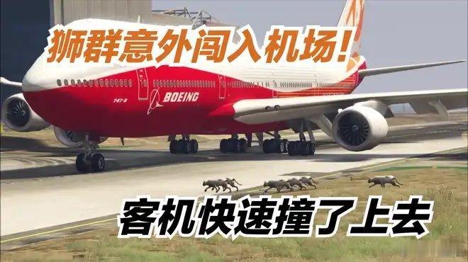 《模拟器：狮群意外闯入机场，客机快速撞了上去，场面惨烈》此视频已有3.3万次播放