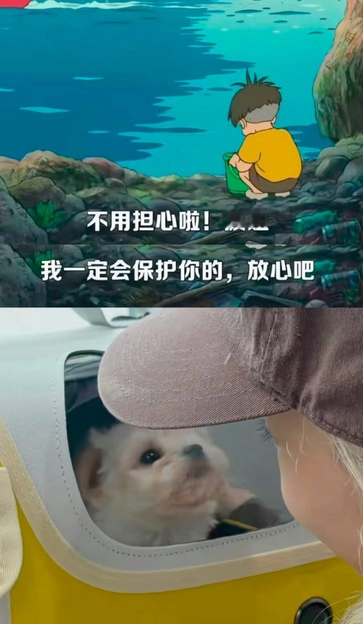 “我们的相遇是命运” 