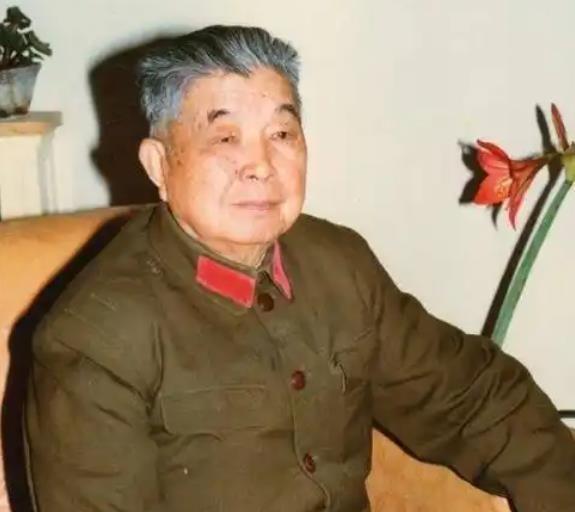 1953年，西康军区司令员刘忠，听说母亲尚在人世，当即带着妻子回家探亲，可到家后