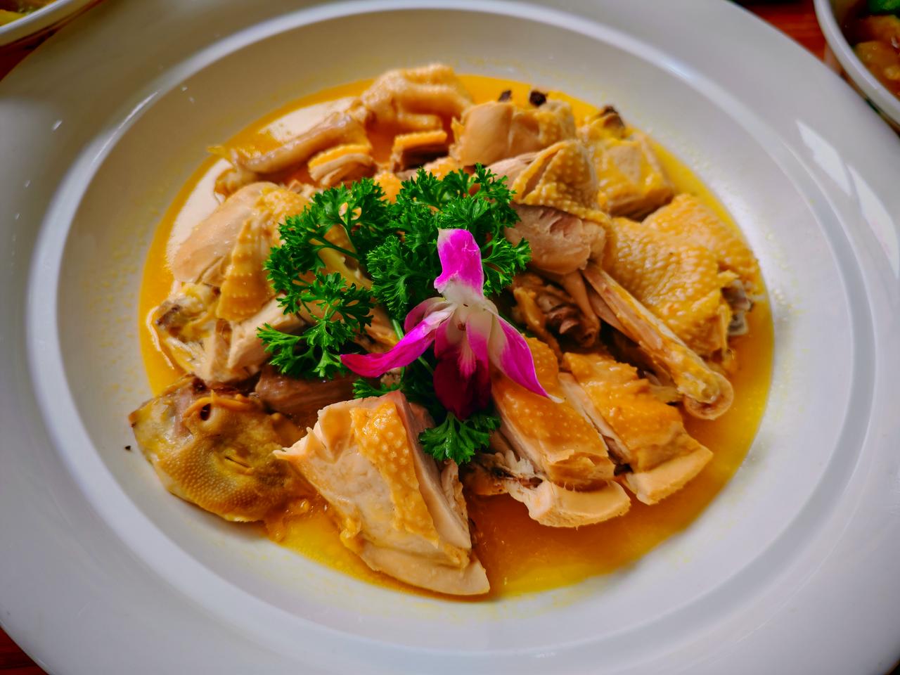 春日生活打卡季