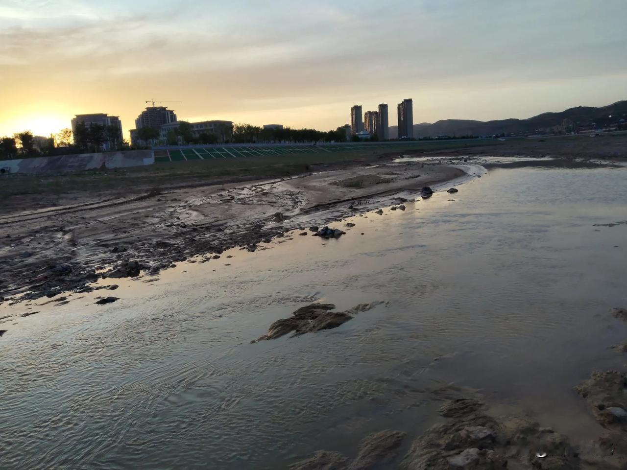 金色的渭水

夕阳西下，晚风习习。炎热的一天开始转凉，骑着捷安特，我又来到渭河边