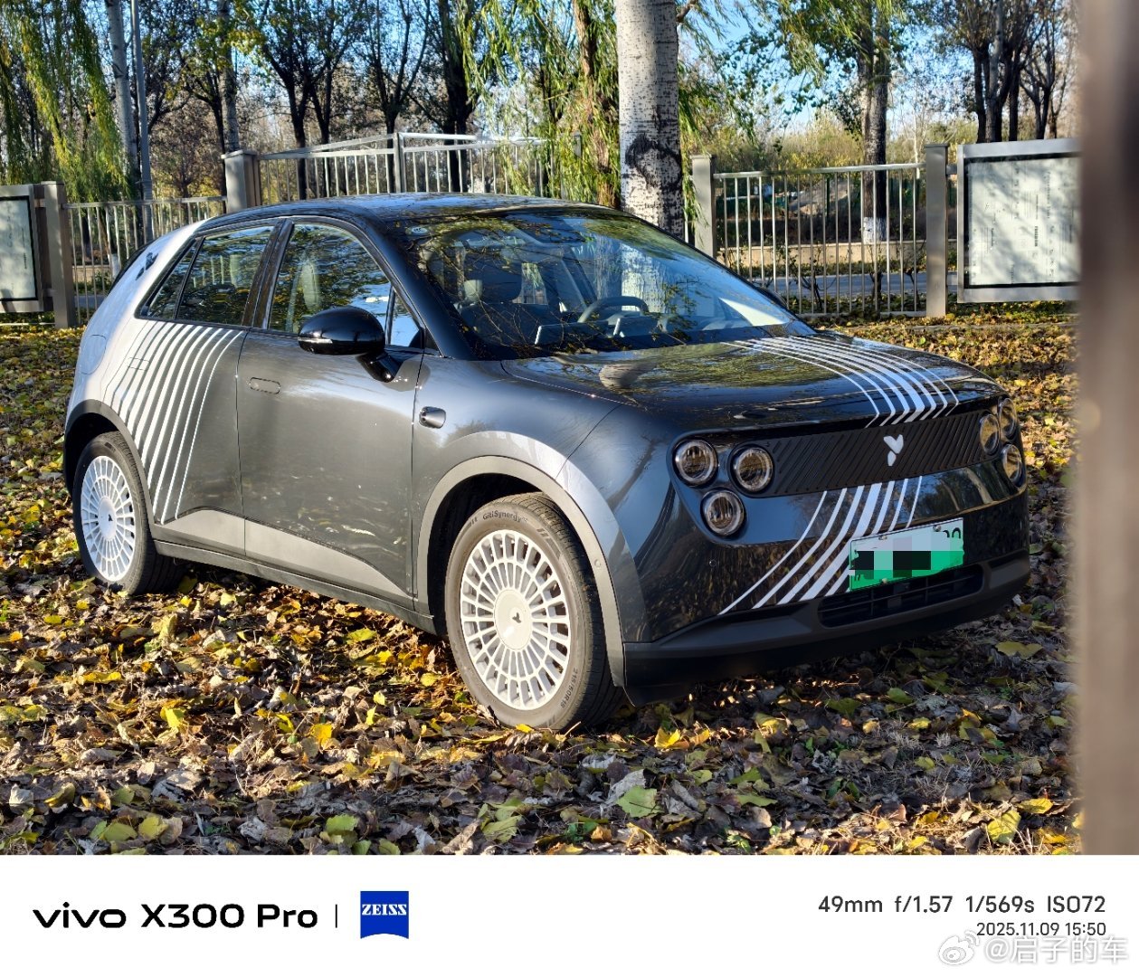 今日体验了 蔚来萤火虫夜行生物特别版 真的泰酷了 这小车真不错啊 和这初冬的落叶