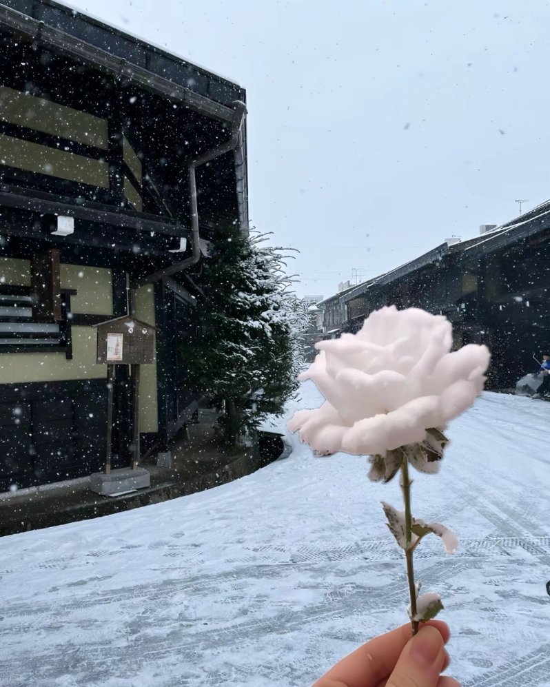 心疼她不吃饭 那为什么不给她点外卖呢 心疼她晚睡 为什么不提醒她早睡呢 心疼她故