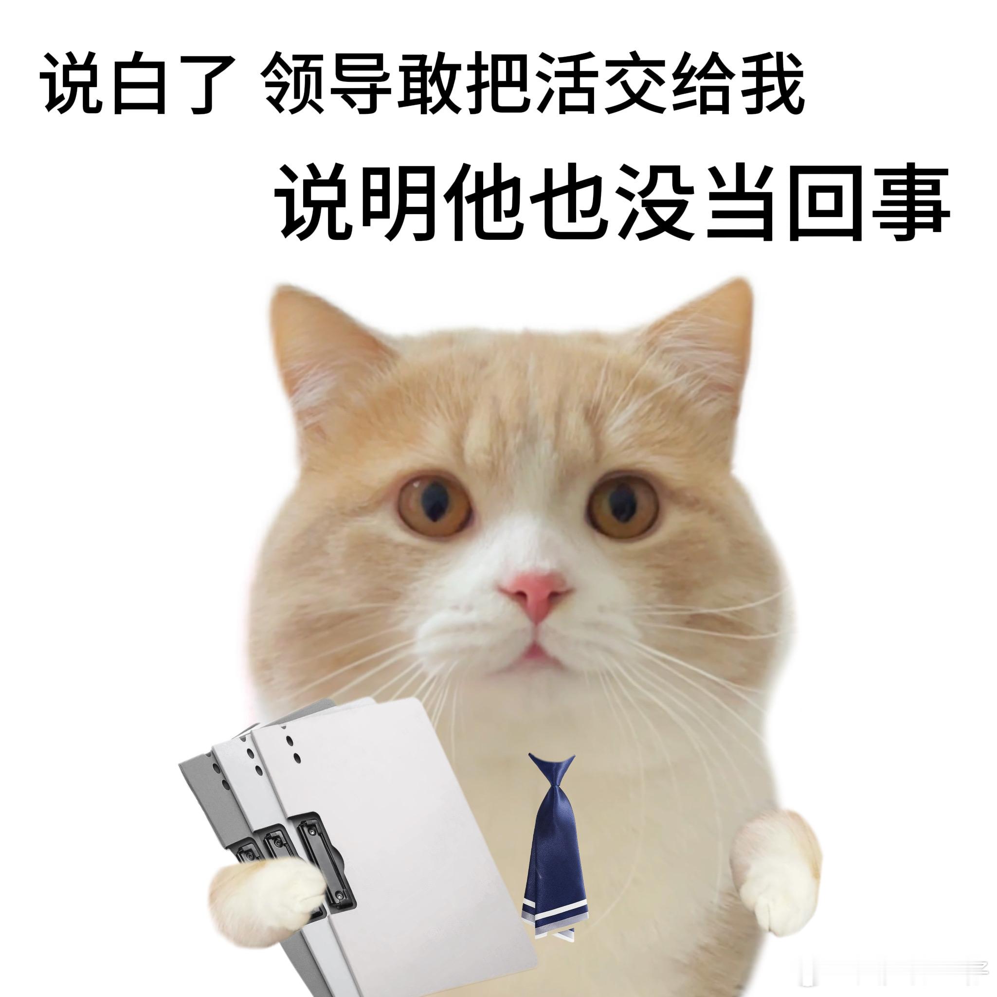 拒绝职场PUA大法 