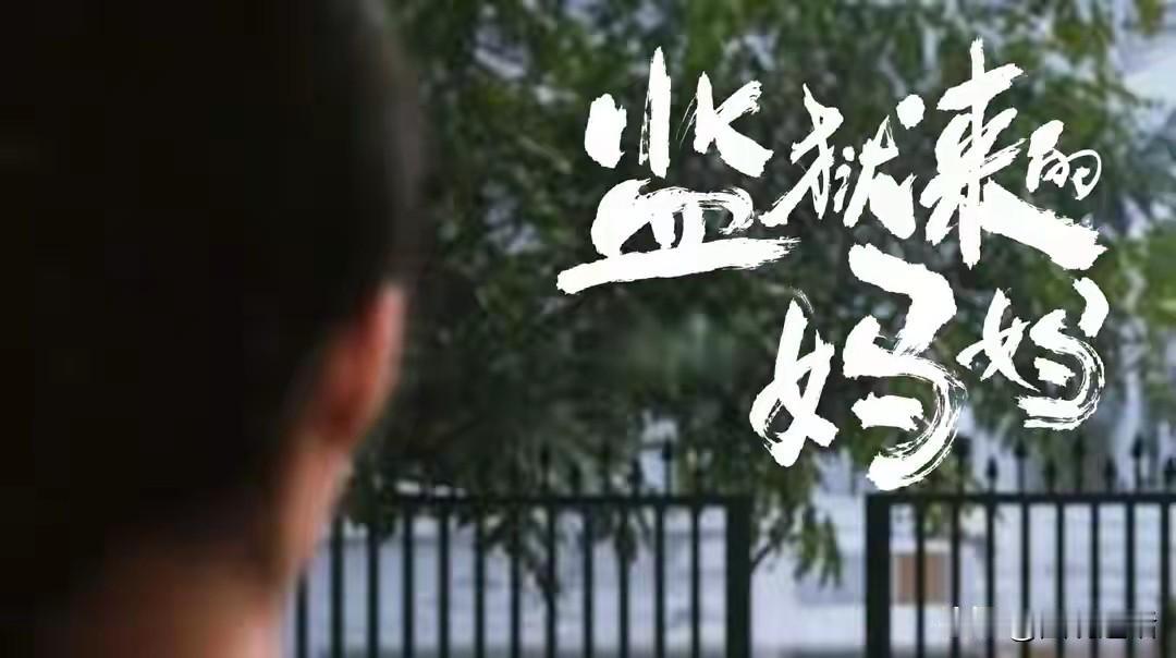它应不应该被封杀？近日，电影《监狱来的妈妈》因篡改司法事实、美化暴力犯罪、刑满人