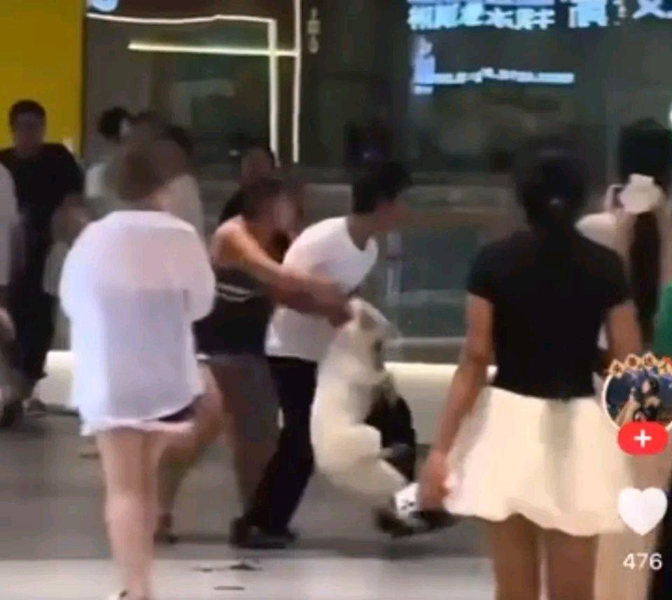 “女子商场遛狗不拴绳吓到男子女友，男子摔狗掌掴泄愤”这事儿闹得挺大。一开始网传是