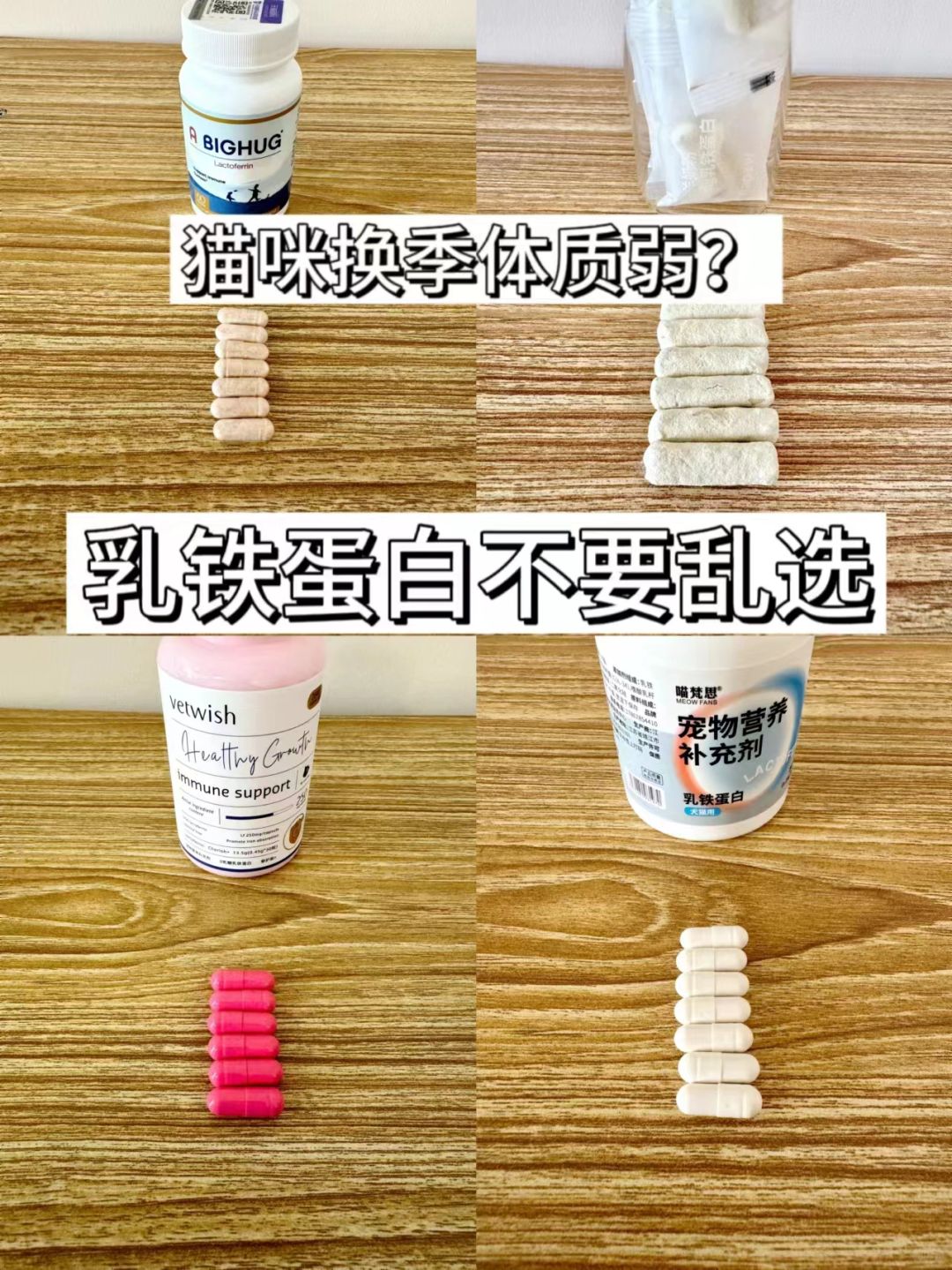 猫咪换季体质弱？乳铁蛋白不要乱选