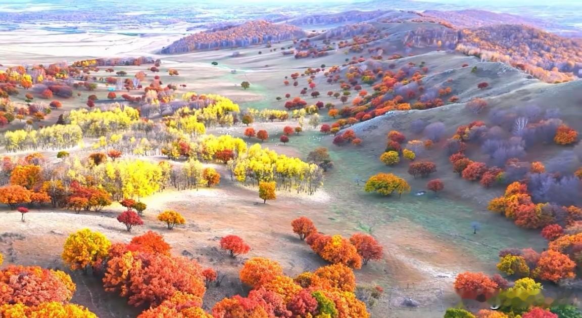 秋日生活打卡季秋天的色彩如画，红、黄、橙三色交织，构成了一幅大自然的壮美画卷。