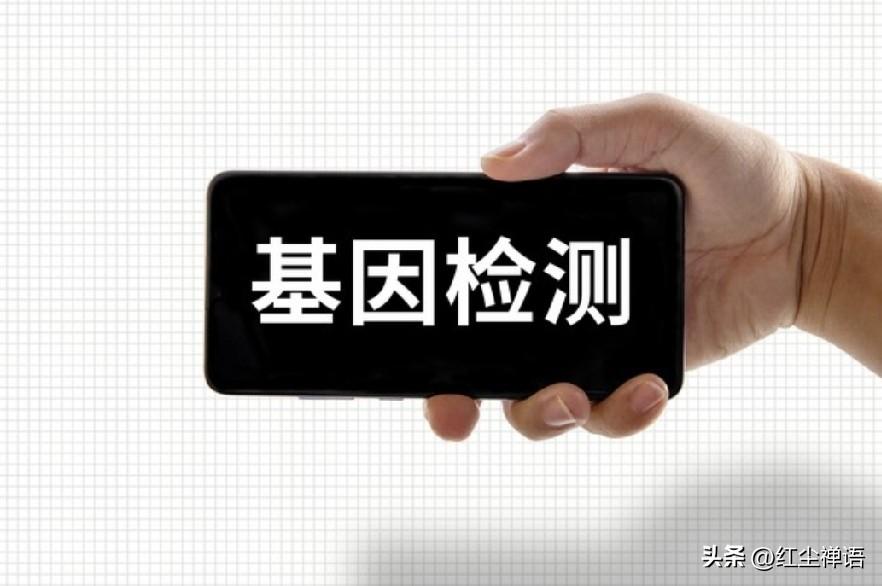 爱吃保健品的弊端:   医嘱

今天，是回到本市，办理住院的第二天。

今天，呼