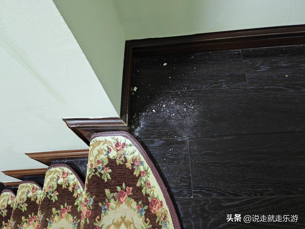 最近遇到了一件糟心事，
上月回昆明旅居，本来上山来避暑是件开心的事，可是：
回到