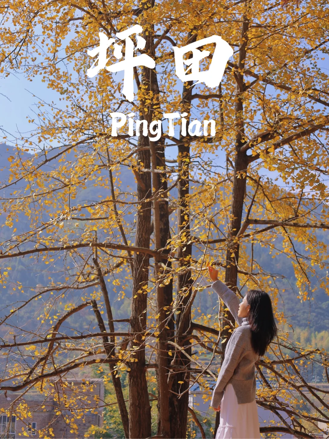 南雄坪田赏秋｜看银杏黄叶🍂观云海日落🌄