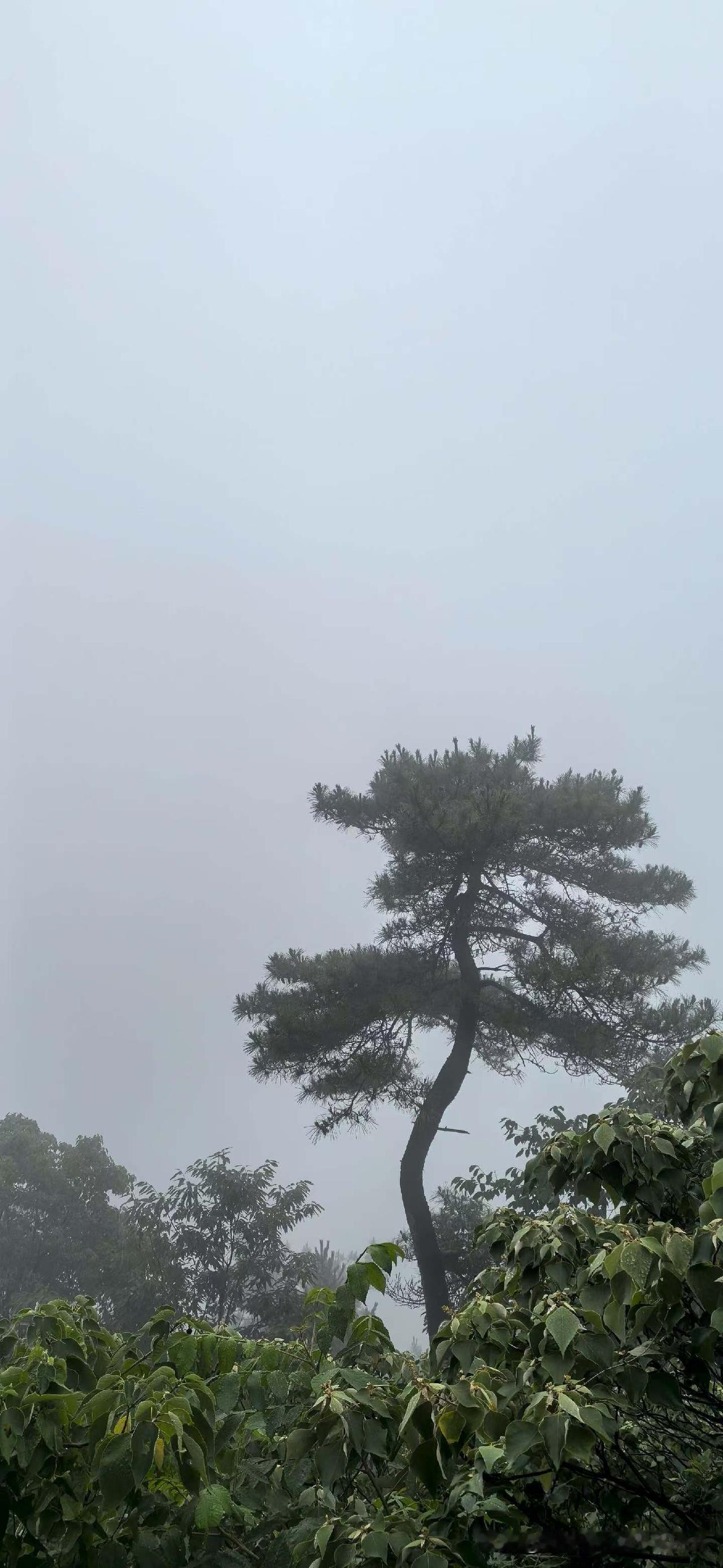 晒图笔记大赛