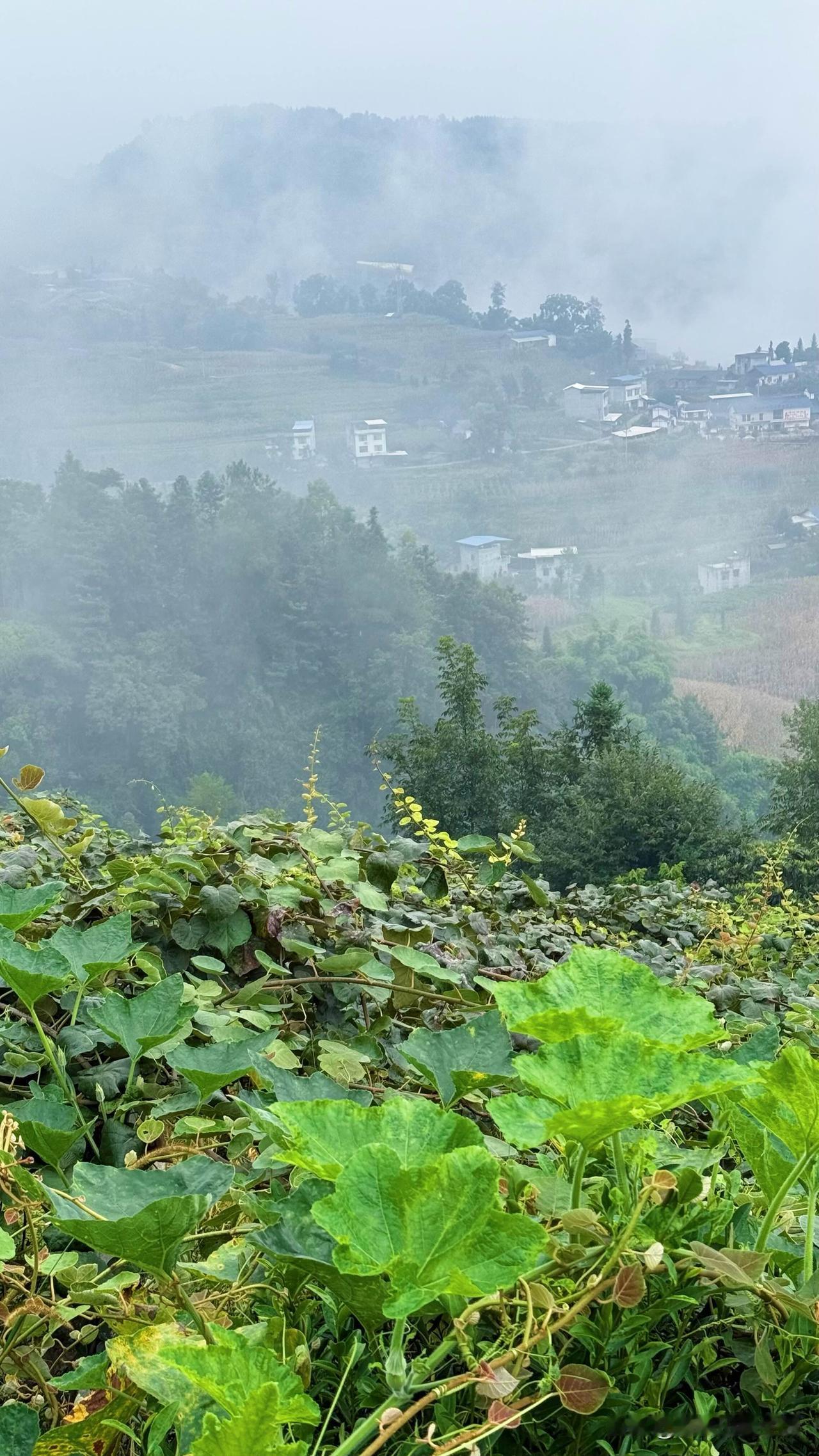 当时只道是寻常，朝花夕拾今才悟……原来最美的风景就在自己长大的地方！记忆中的乡愁