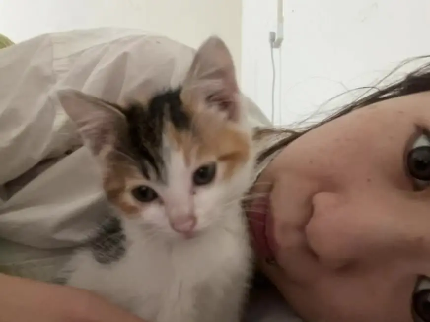 在某个睡不着的清晨想念妙子这只小屁