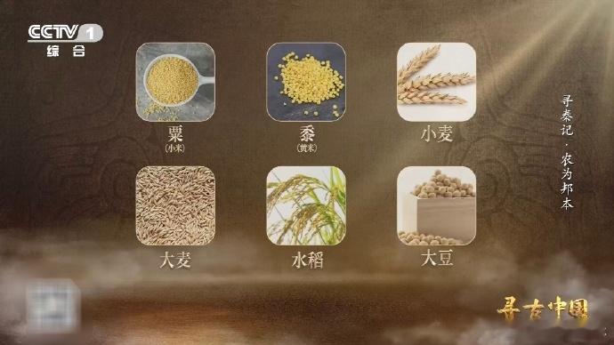 从3升土里淘出秦人食谱2000多年前的垃圾桶谁懂考古的魅力！3升土解锁秦人食谱，