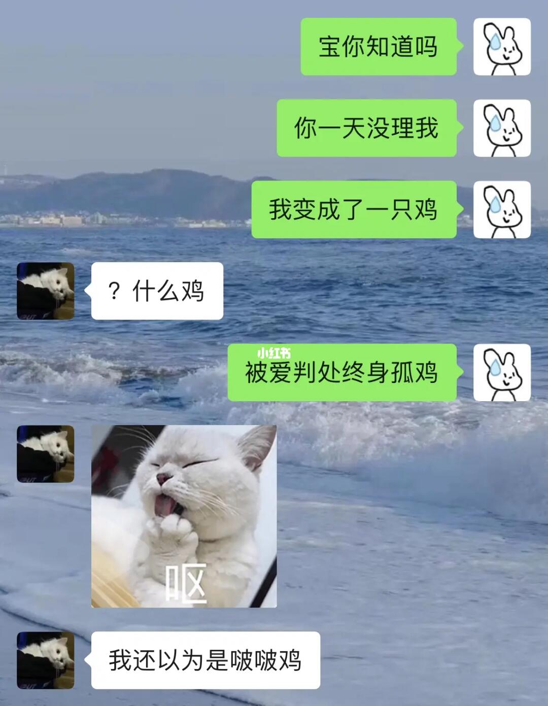 和男友聊天之土味情话 男生真的很吃这套！