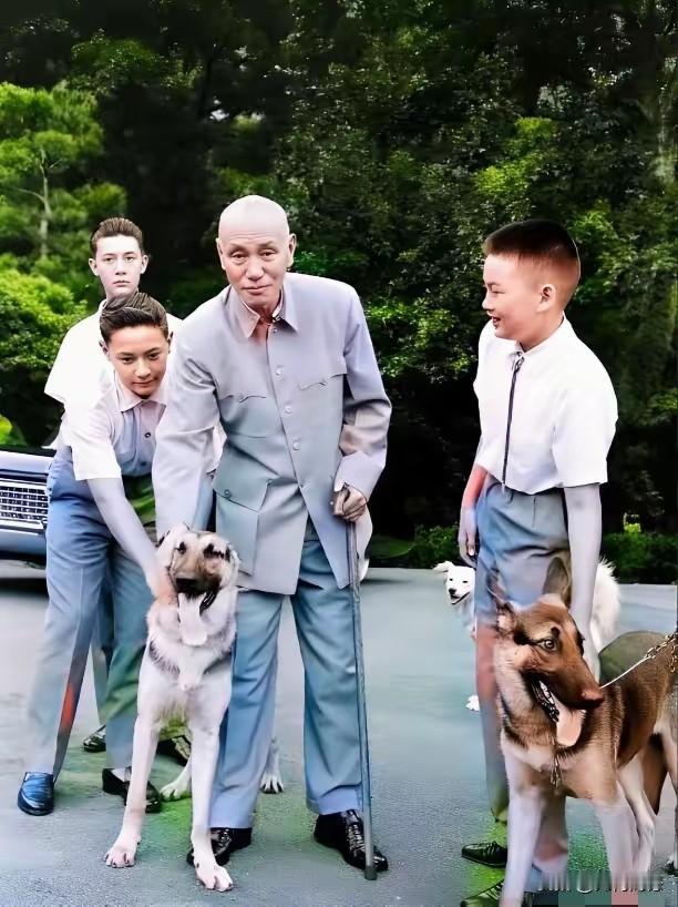 真没有想到，他和她，以及围绕在他们身边的这些人，竟然如此喜欢养狗，尽管他们比较喜