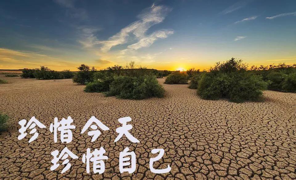 今日，我发给一位朋友→我说

这是我昨晚写发的一篇“今日头条号”短文。我从202