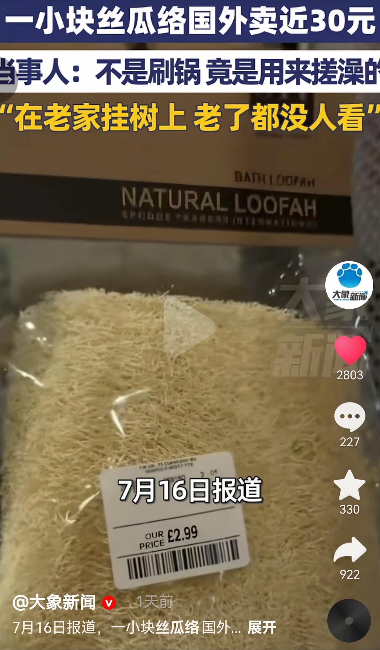 国内农村遍地不稀罕的老丝瓜，漂洋过海直接身价暴涨，中外主流用法天差地别，看完真的