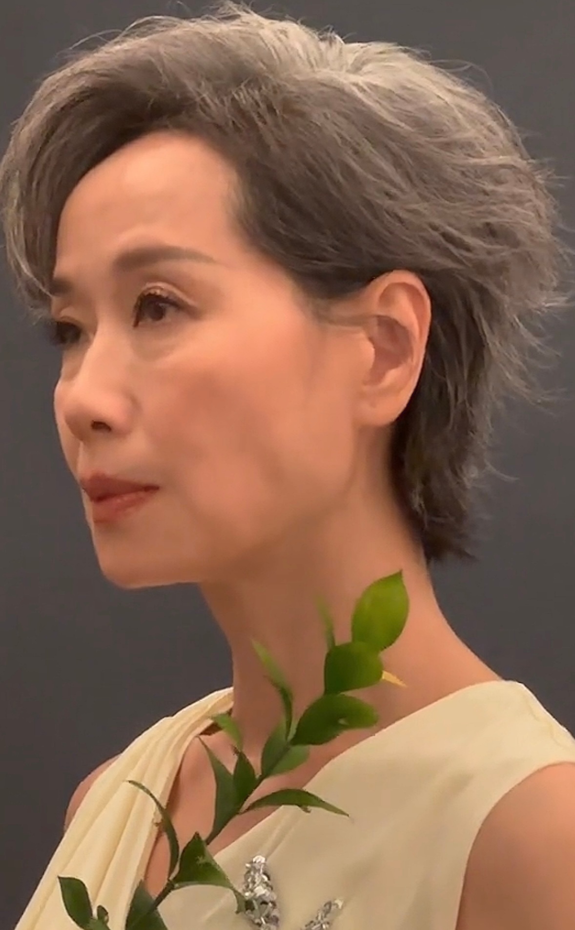 zmls你們要找的是這個🍃嗎 芝童道合