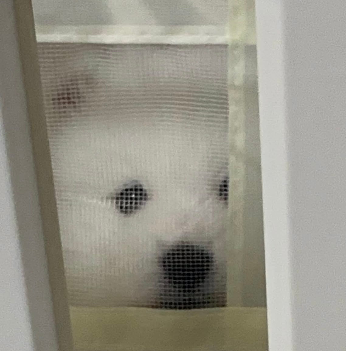 晚安耶