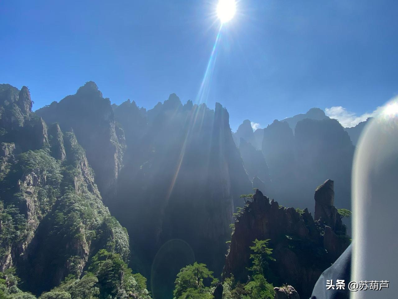 发现了没，
害怕裁员的一般都是工作好的，公司福利待遇好，怕被裁了以后找不到更好的