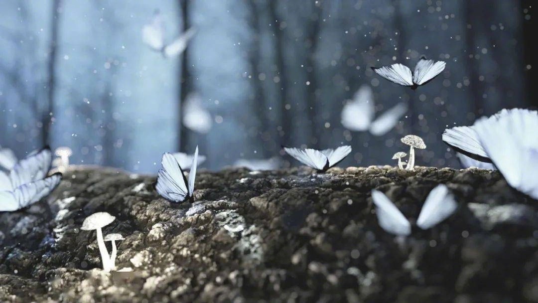 把心思放在别人身上，反射回来的是“情绪”；把心思放在自己身上，反映出来的是“心情