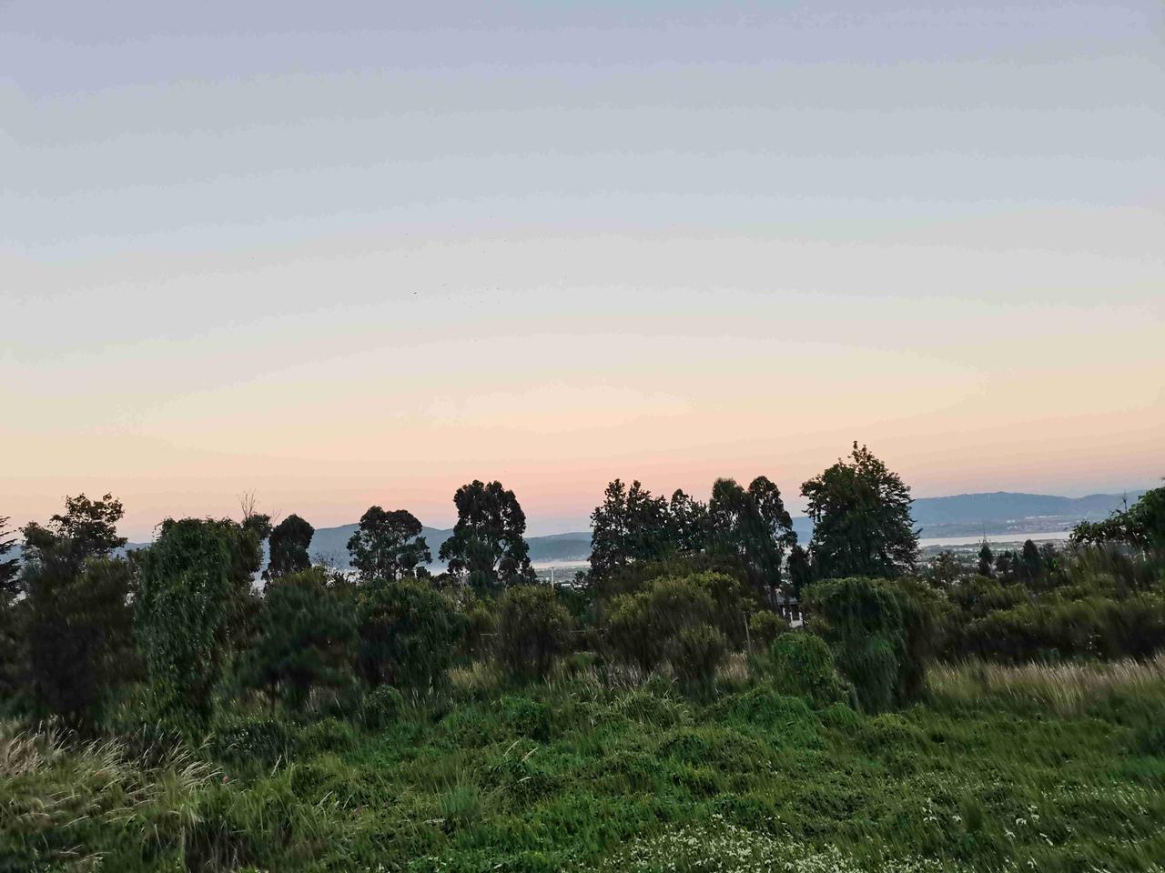 大理随拍
我的今日状态：🏝️旅行度假
我这里的天气：🌤️多云