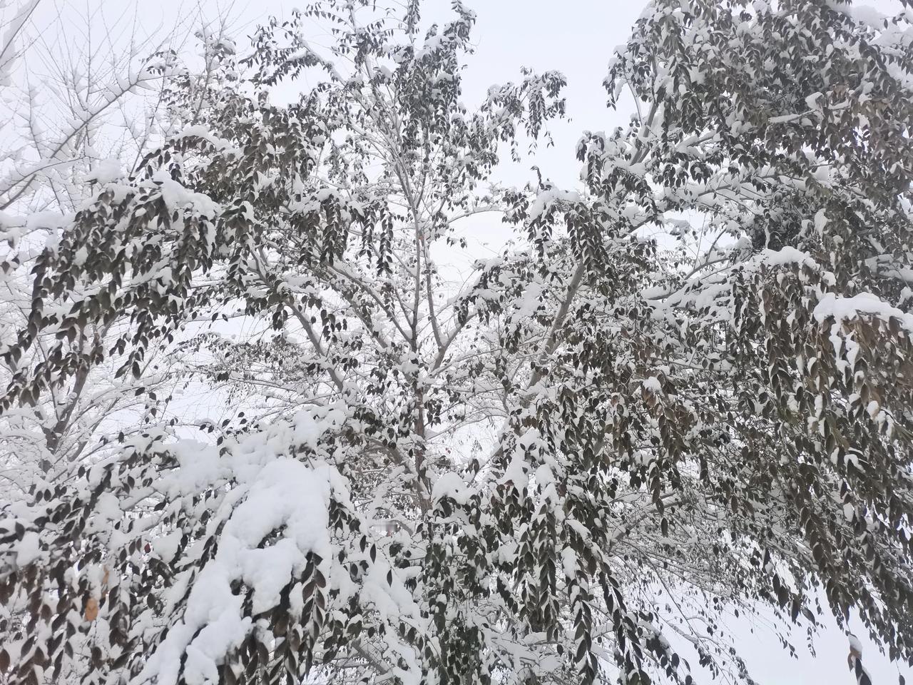 冬日生活打卡季