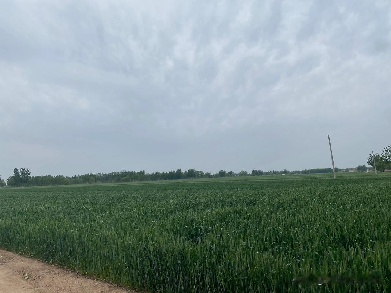 想要拥有一匹马，最好的办法不是去追逐，而是用追马的时间种草。来年绿草如茵时，自有