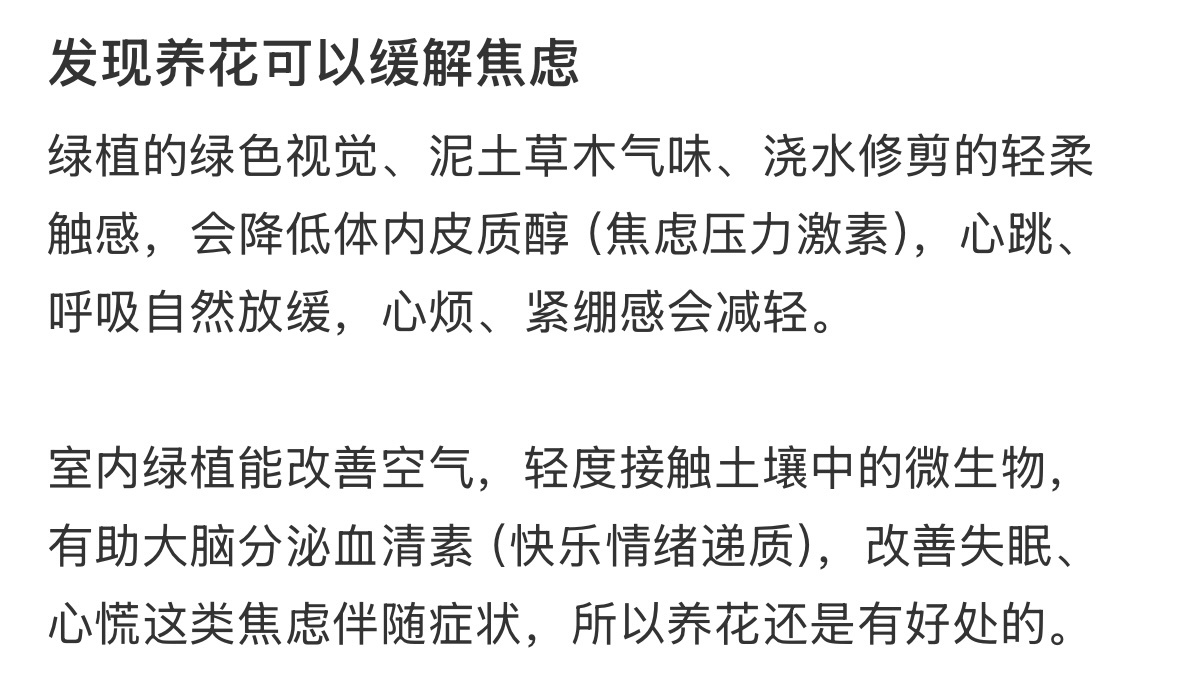发现养花可以缓解焦虑 