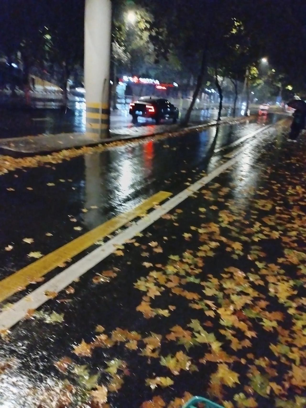 疏雨滴梧桐，梧桐叶满地