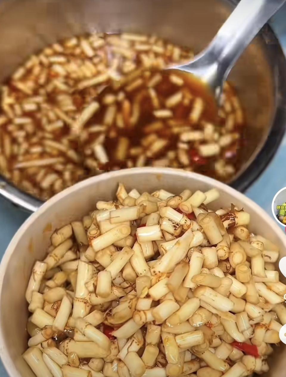 2026云南自驾奇遇：我的“解毒”搭子鱼腥草(折耳根)，成了家人眼中的“怪味刺客