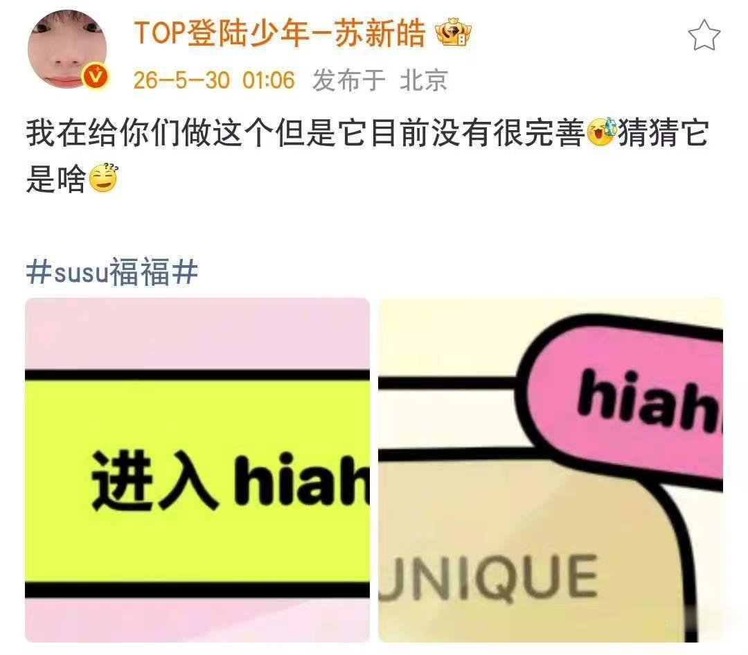 苏新皓猜猜它是啥苏新皓准备的hiahia 超级好的苏新皓！ 