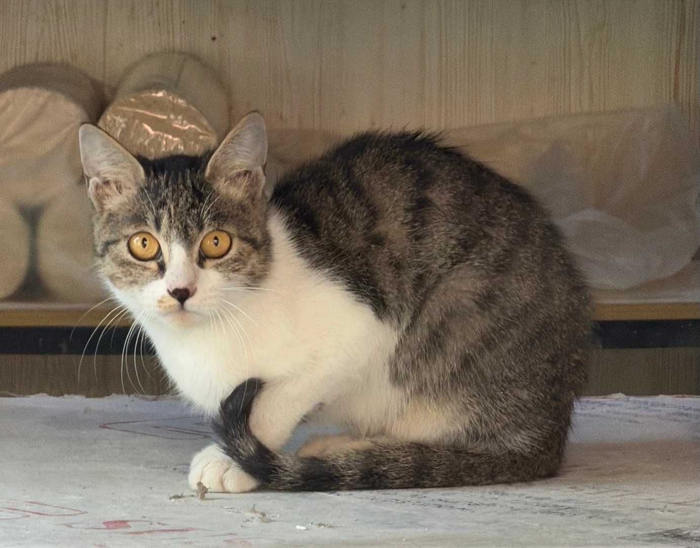 这得补成啥样了，床板直接击穿