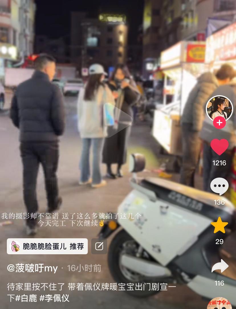 剧宣这块鹿毛女神吾辈楷模来的白鹿李佩仪·白鹿唐宫奇案