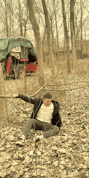 小树不经重压，折了，摔的不是人，是他的智商。