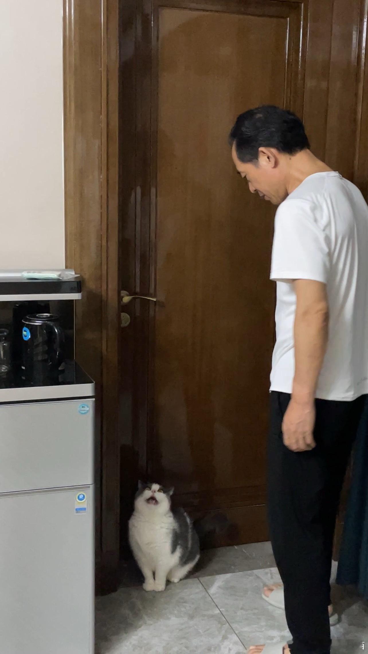 圆圆每天都要进书房学习的 会很大声哇哇要求开门 ​​​